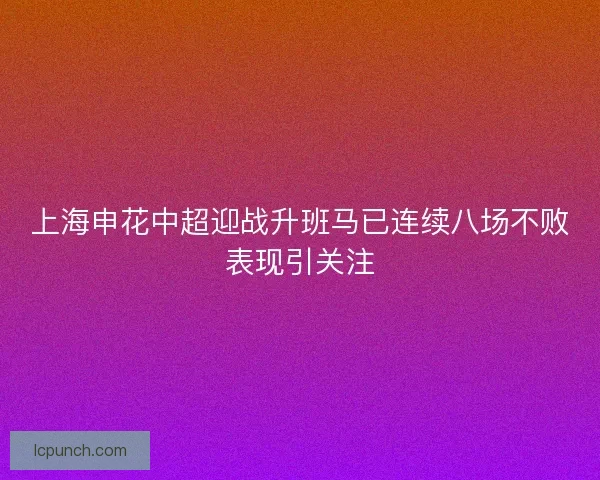 上海申花中超迎战升班马已连续八场不败表现引关注 上海申花中超迎战升班马已连续八场不败表现引关注