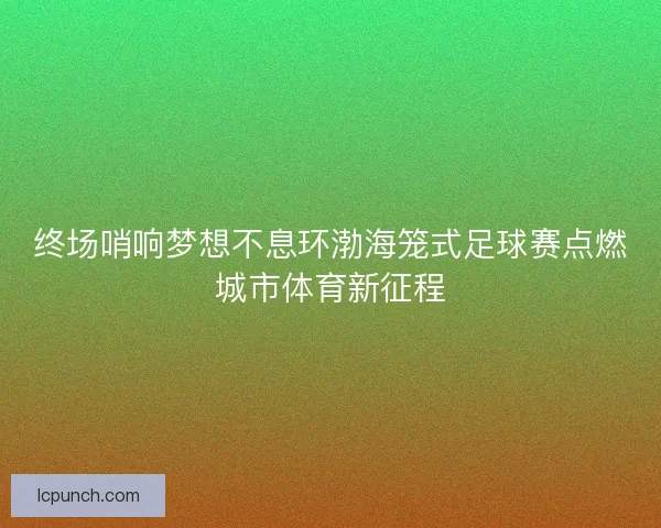 终场哨响梦想不息环渤海笼式足球赛点燃城市体育新征程